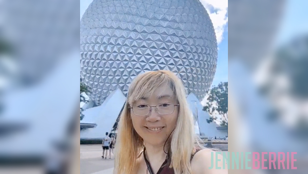 Simplest Transition From Cruise To Disney World