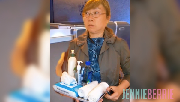 Me? A Flight Attendant?