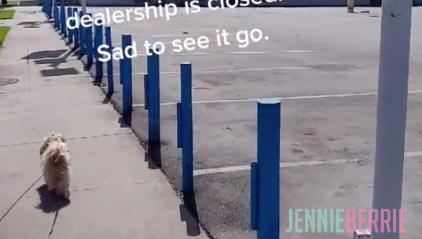 Goodbye Mazda Dealership