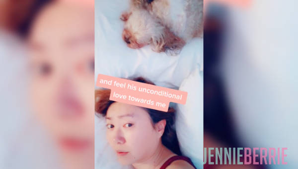 Bo's Unconditional Love