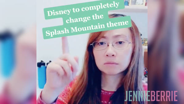 Splash Mountain Dream