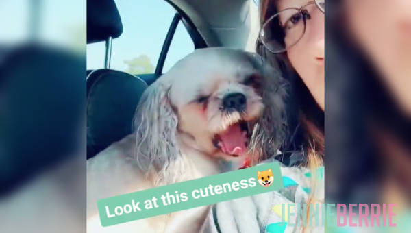 A Visit to My Mom and Dad's Place