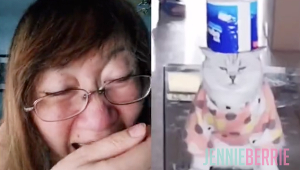 Blind React It's Like a Top Hat Cat