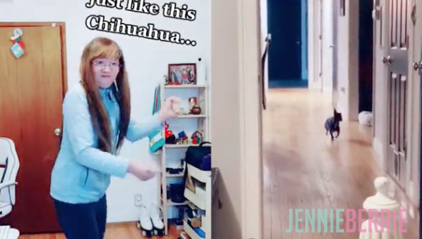 Such a Happy Chihuahua