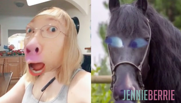 Horse Carriage Action