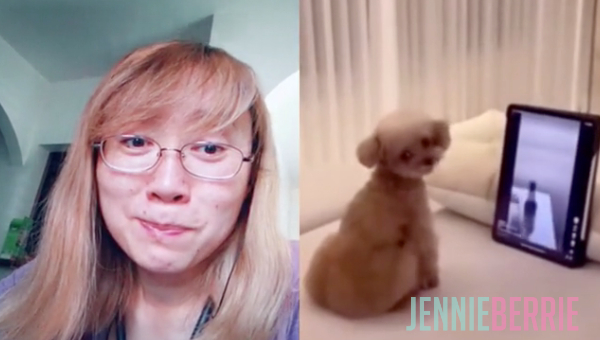 Fancy Dog Can Opener