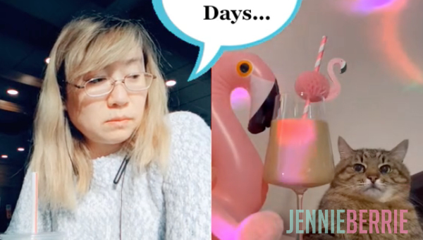 Same Melancoly with this Cat