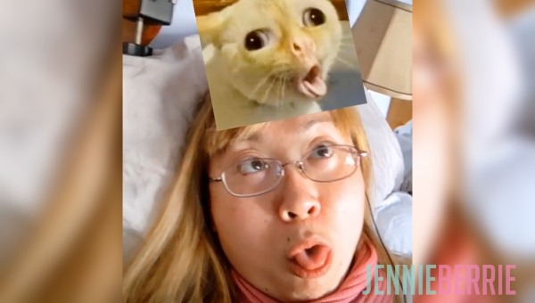 Doing Most of the Cat Facial Mimics