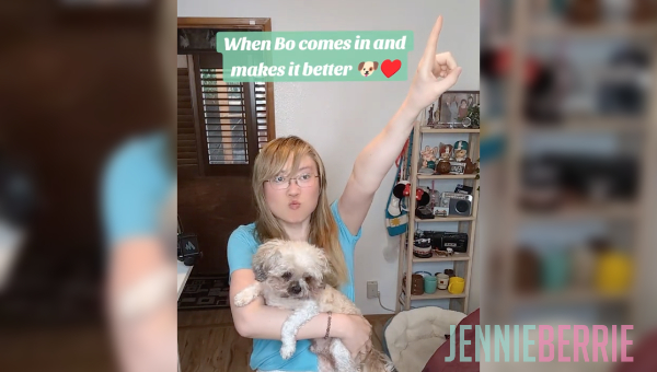  Four Year Cycle of Viral Videos Systemic Conditioning or Natural 